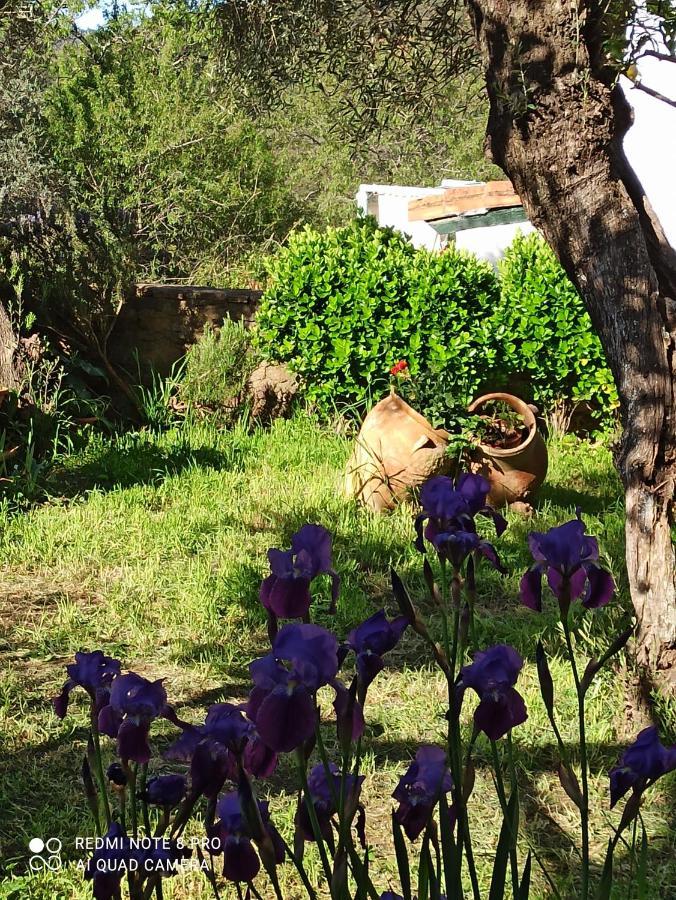 El Lucero Pensionat Alájar Eksteriør billede